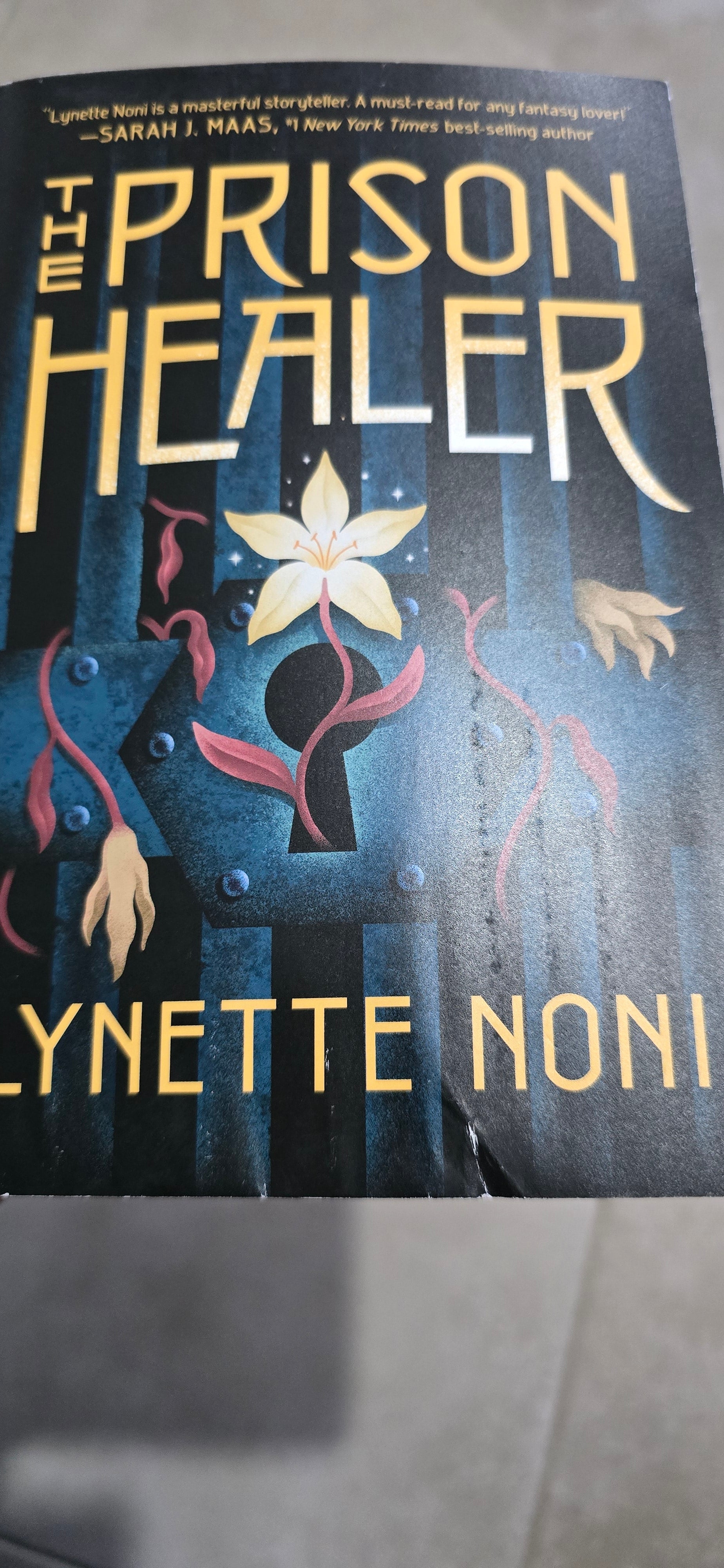 The Prison Healer (Bk. 1) (Damaged)