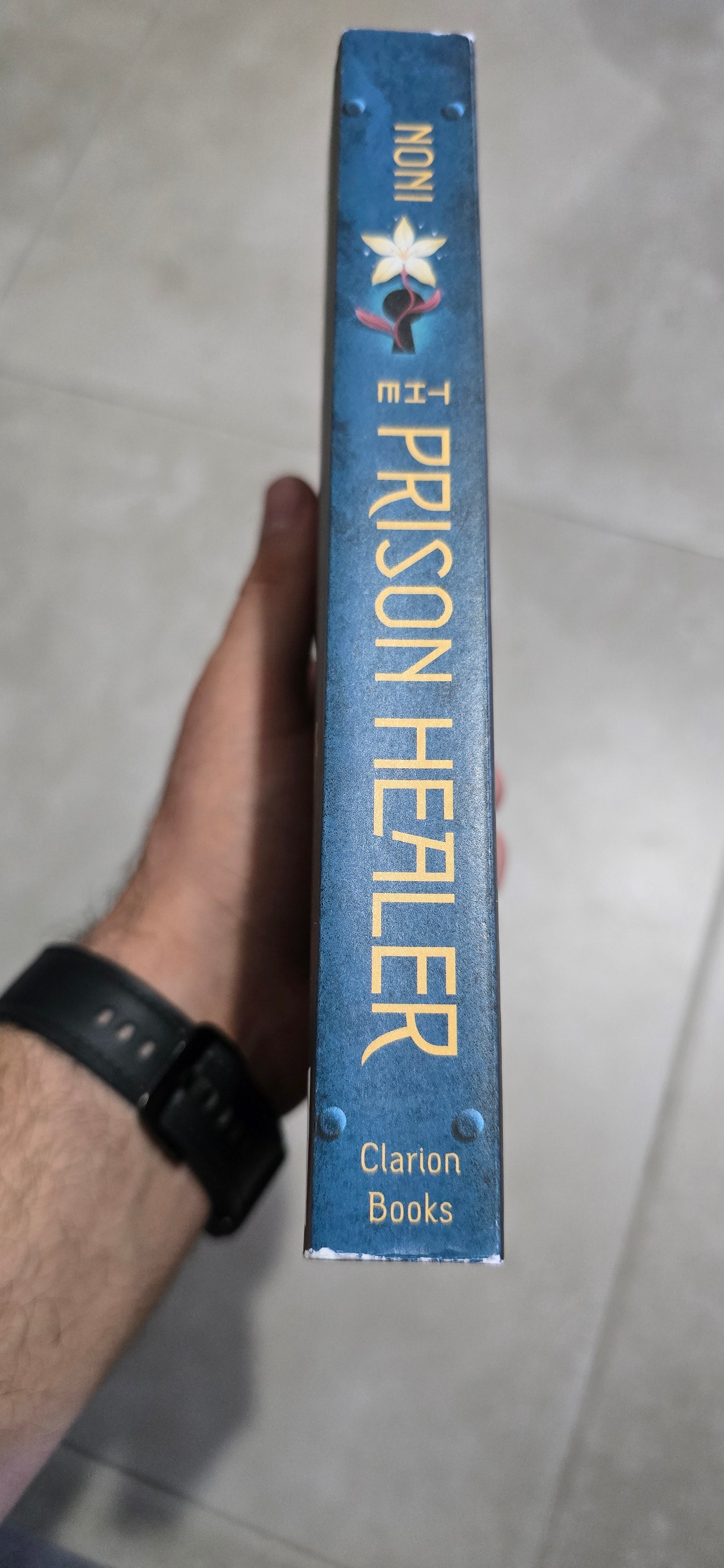The Prison Healer (Bk. 1) (Damaged)