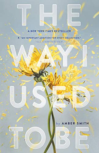 The Way I Used to Be by Amber Smith Paperback book cover